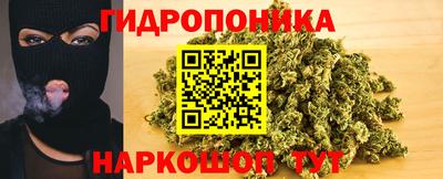 дмт Донской