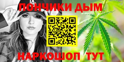 крисы Дубна