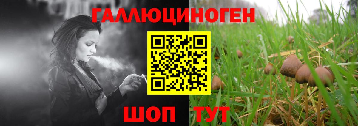 Галлюциногенные грибы прущие грибы  Псилоцибиновые грибы Psilocybine cubensis  Курск  Вход с VPN 
